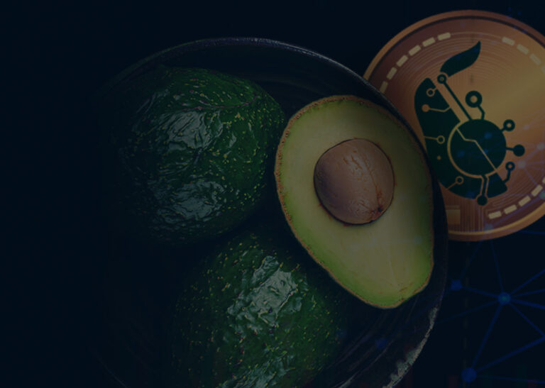 AvocadoCoin will reshape the avocado.