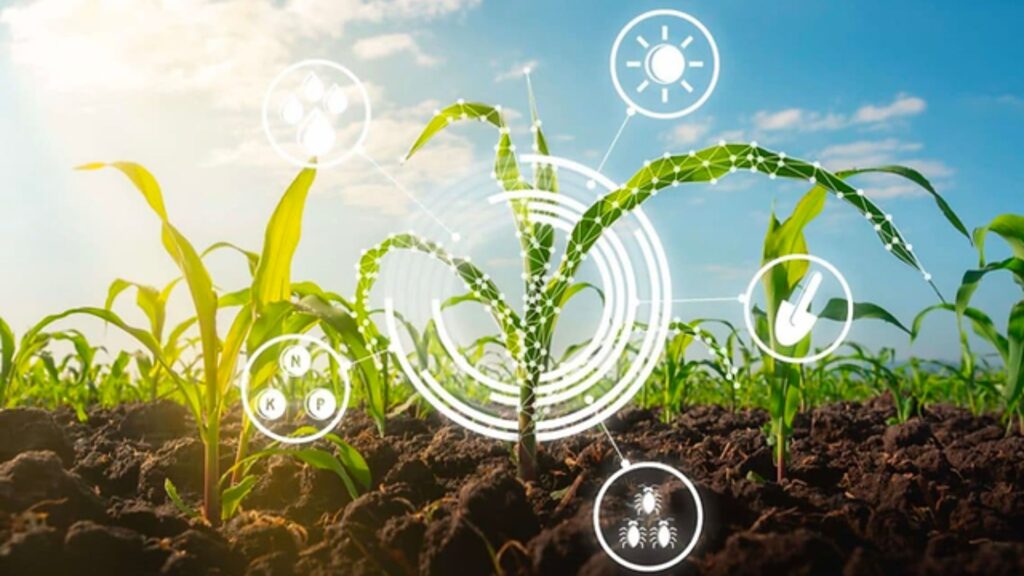 Trazabilidad y pruebas tangibles: el futuro de la agricultura regenerativa